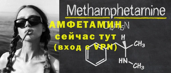 шишки Аркадак