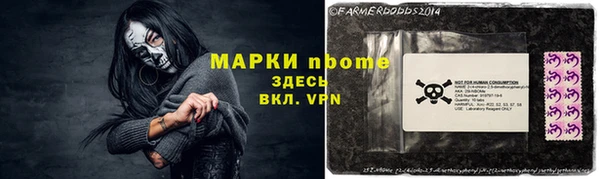 шишки Аркадак