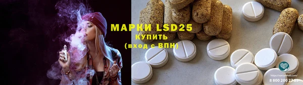 шишки Аркадак