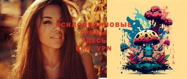 бутират Арсеньев