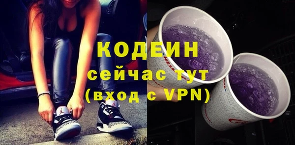 шишки Аркадак