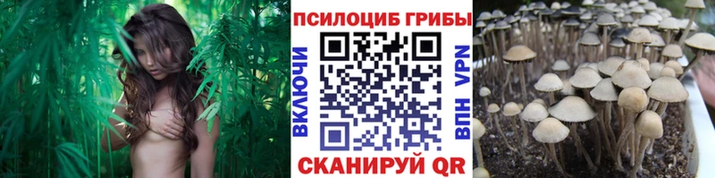 Псилоцибиновые грибы прущие грибы  купить наркотики сайты  Прохладный 